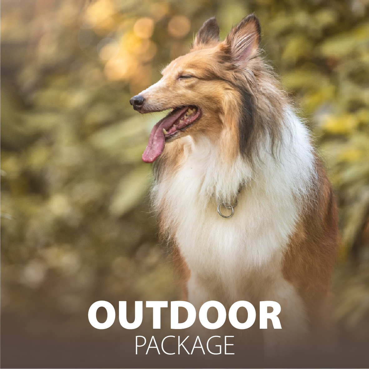 Package-outdoor3