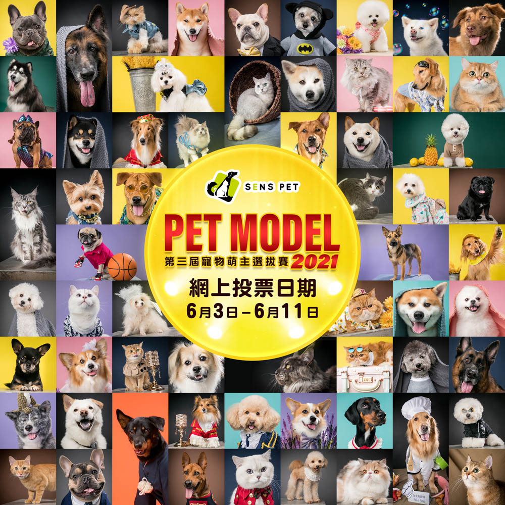 Pet Model 2021_投票post